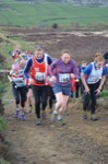 Click on thumbnail for larger photo
